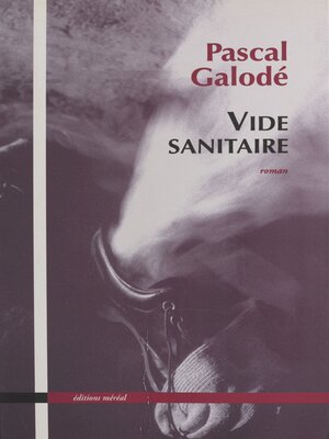cover image of Vide sanitaire